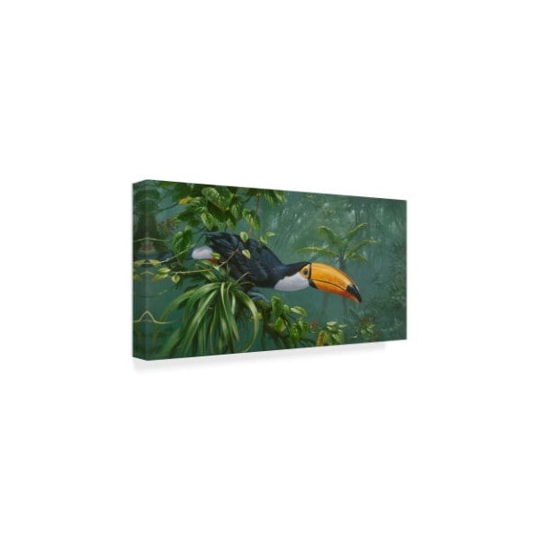 Michael Jackson 'Toco Toucan' Canvas Art,10x19